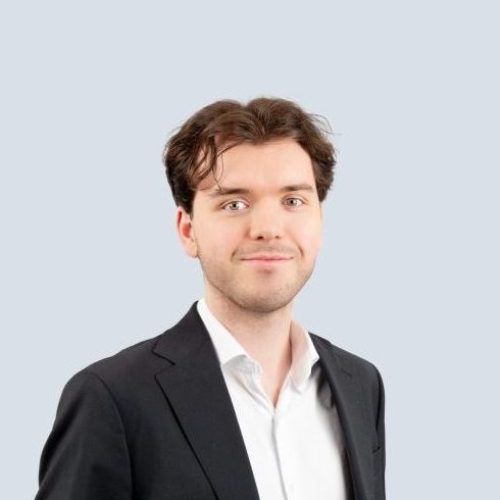 Henrik Zeylon - Full Size - Grey background